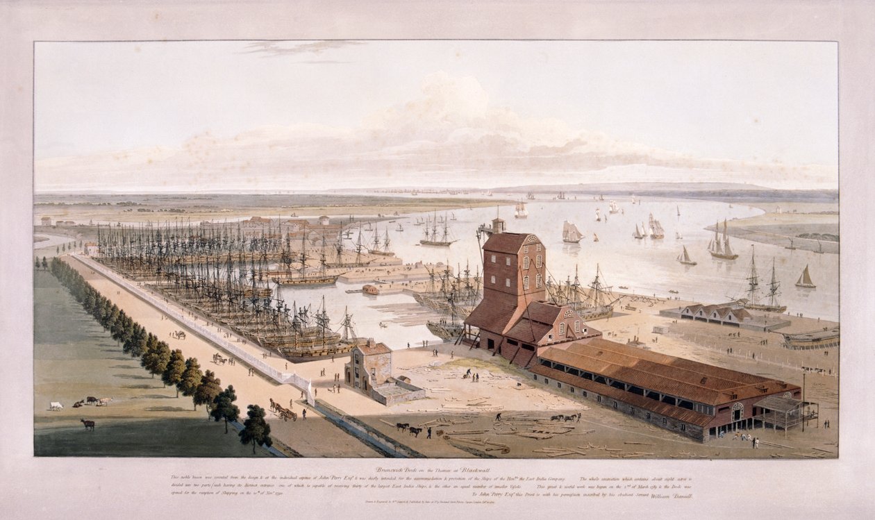 Brunswick Dock og East India Dock, Poplar, London, 1803 av William Daniell