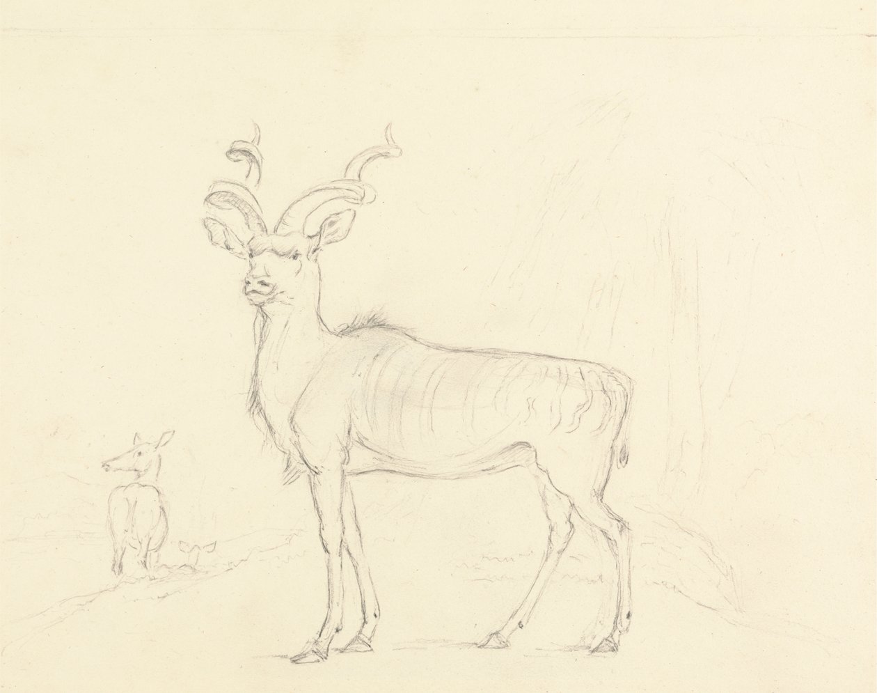 Koodooen av William Daniell