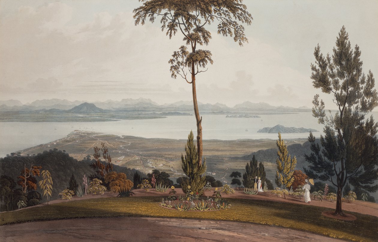 Utsikt fra Strawberry Hill, Prince of Wales Island av William Daniell