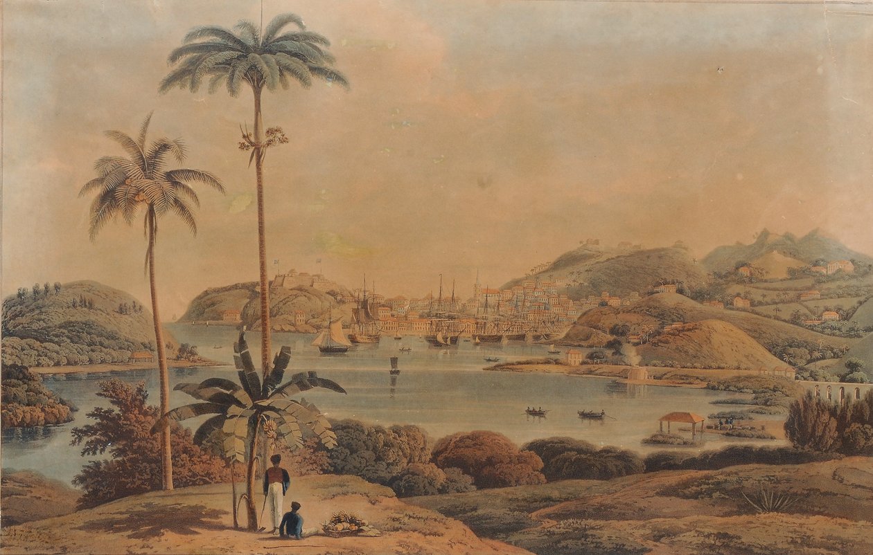 Utsikt over byen St. George og Richmond Heights på øya Grenada, tatt fra bukten av oberstløytnant Wilson, 1819 av William Daniell