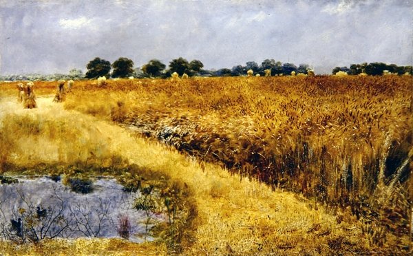 A Field of Corn (olje om bord) av William Davis