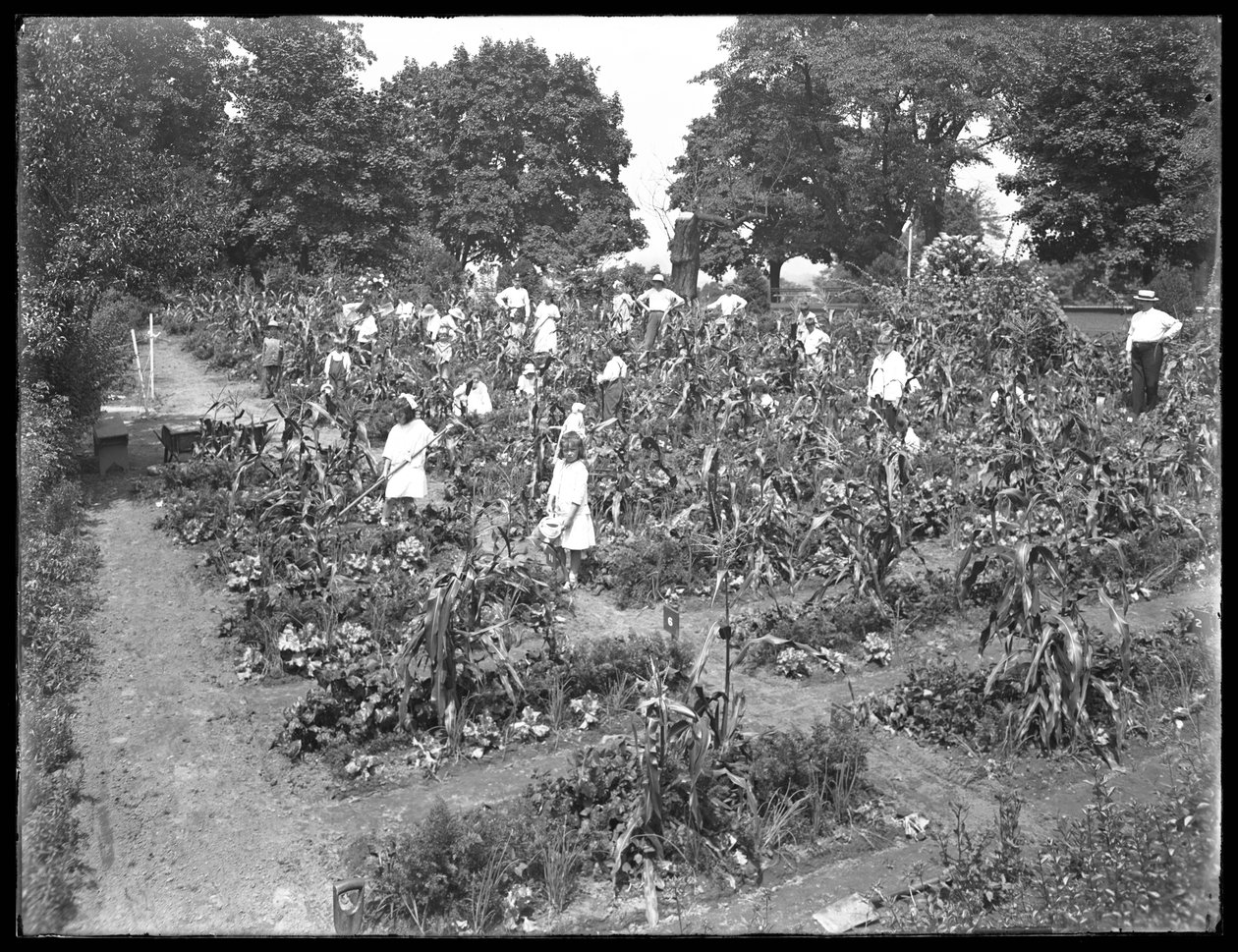 Barn som jobber i Isham Park skolehage, New York City, 16. august 1915 av William Davis Hassler