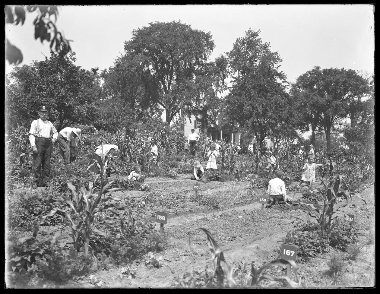 Barn som jobber i Isham Park skolehage, New York City, 16. august 1915 av William Davis Hassler