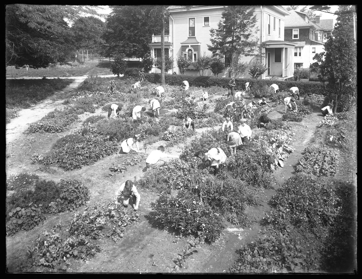 Høyvinkelbilde av barn som arbeider i hagen ved Poppenhusen-avdelingen til Queens Borough Public Library, 14. august 1915 av William Davis Hassler