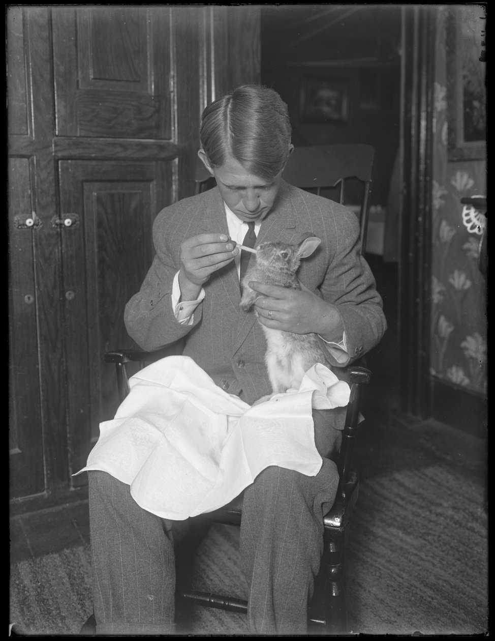 James H. Hassler mater en kanin, ca. 1912 av William Davis Hassler