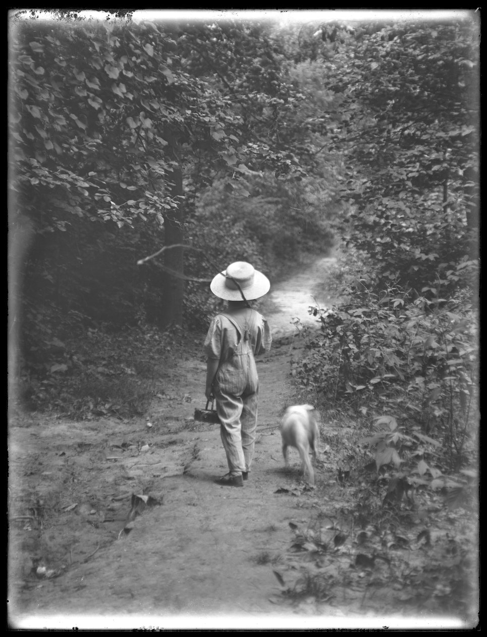 William Grey Hassler i stråhatt og kjeledress, bærende fiskestang og kurv, gående nedover en sti i skogen med en liten hund (Bessie), 20. august 1911 av William Davis Hassler