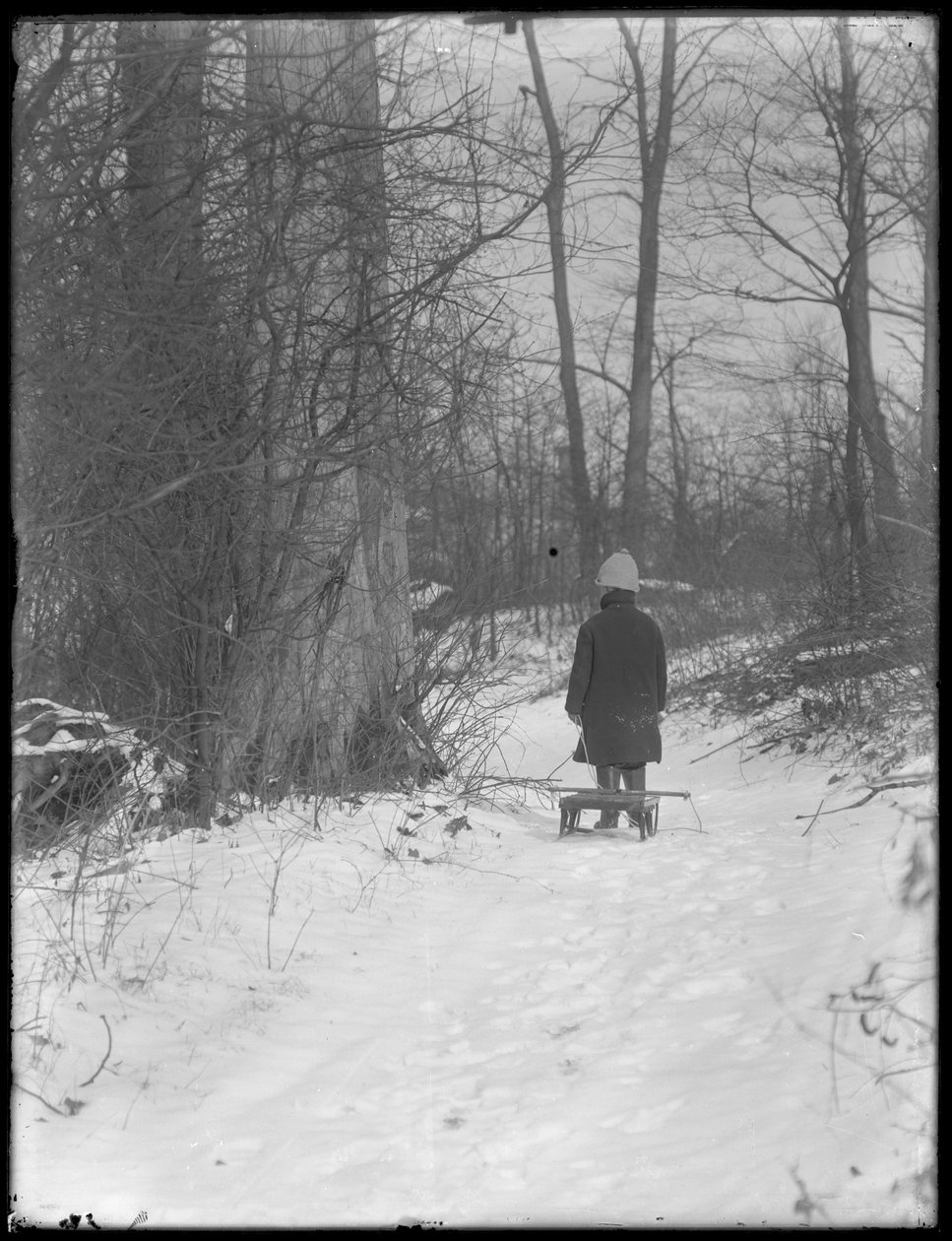 William Gray Hassler trekker sleden sin gjennom snødekte skoger, ca. 1912 av William Davis Hassler