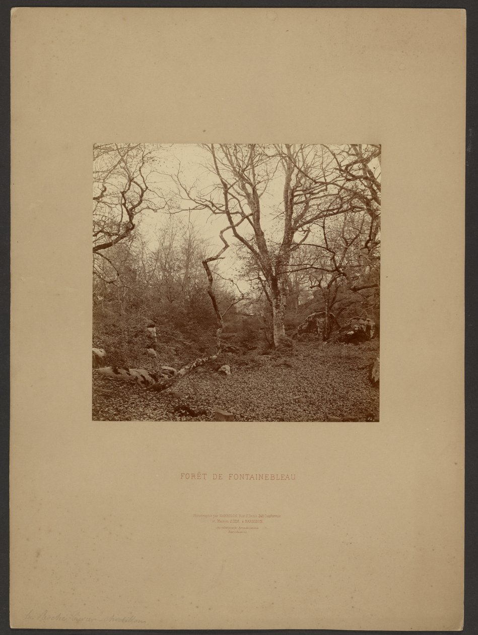  av William Drooke Harrison