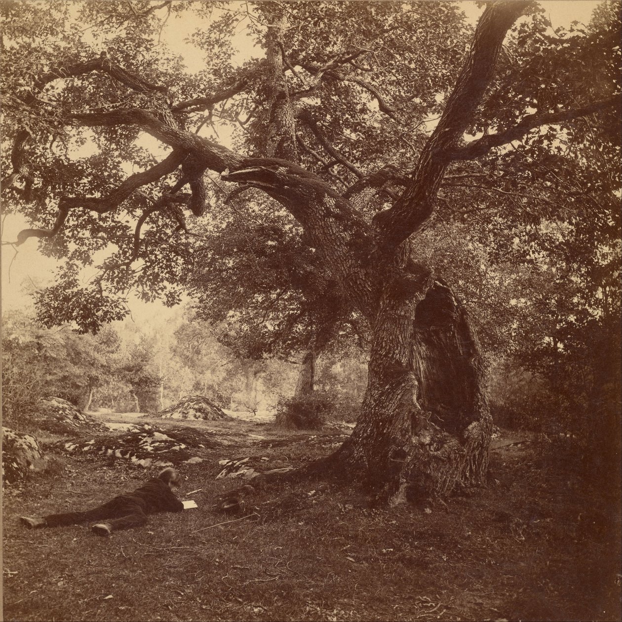 Fontainebleau-skogen av William Drooke Harrison
