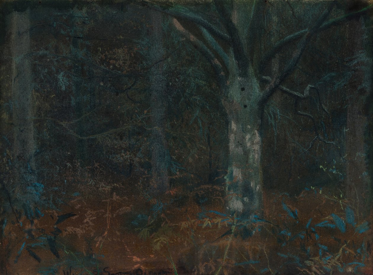 Gamle Sycamore av William Edward Stott
