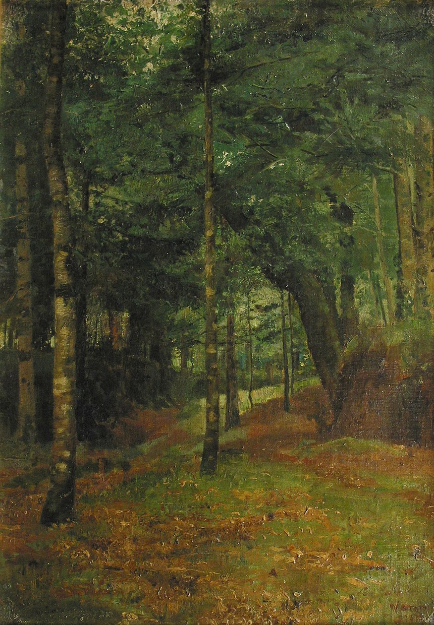 Studie av sol som skinner gjennom trærne, Concarneau av William Edward Stott