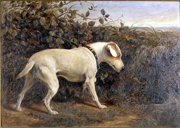 Terrier i et landskap av William Elsob Marshall