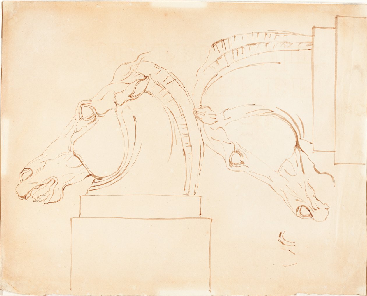 The Horse of Selene fra Elgin Marbles [recto] av William Etty