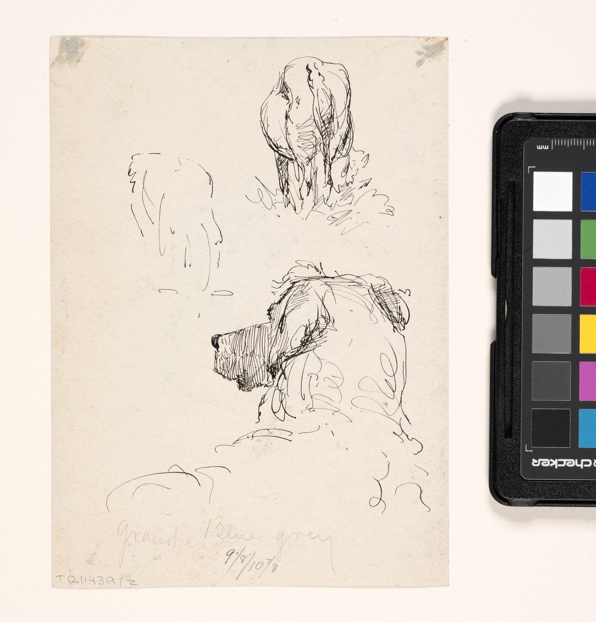 Dog (Recto), Dog And Cow (Verso) (penn og blekk på kremvevet papir) av William Forsyth