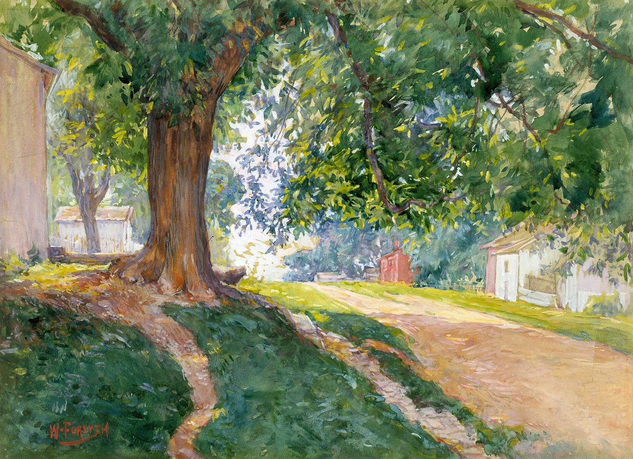 The Constitutional Elm (akvarell og gouache på off-white papir) av William Forsyth