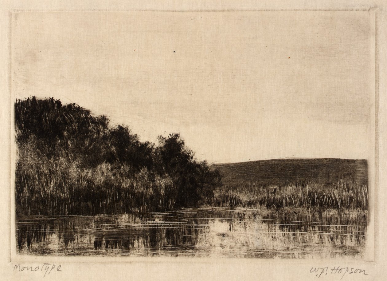  av William Fowler Hopson