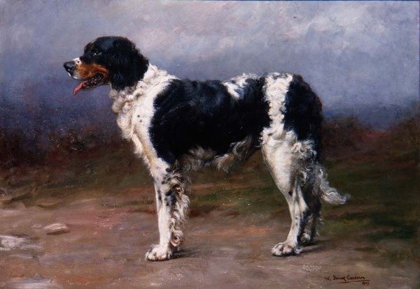 Gundog i et landskap av William Frank Calderon