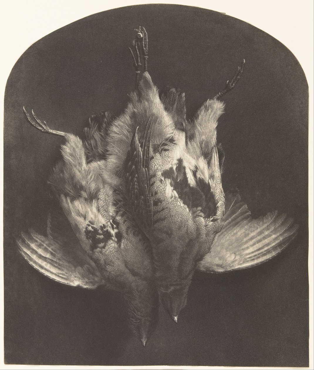 A Brace of Grouse av William Frederick Lake Price