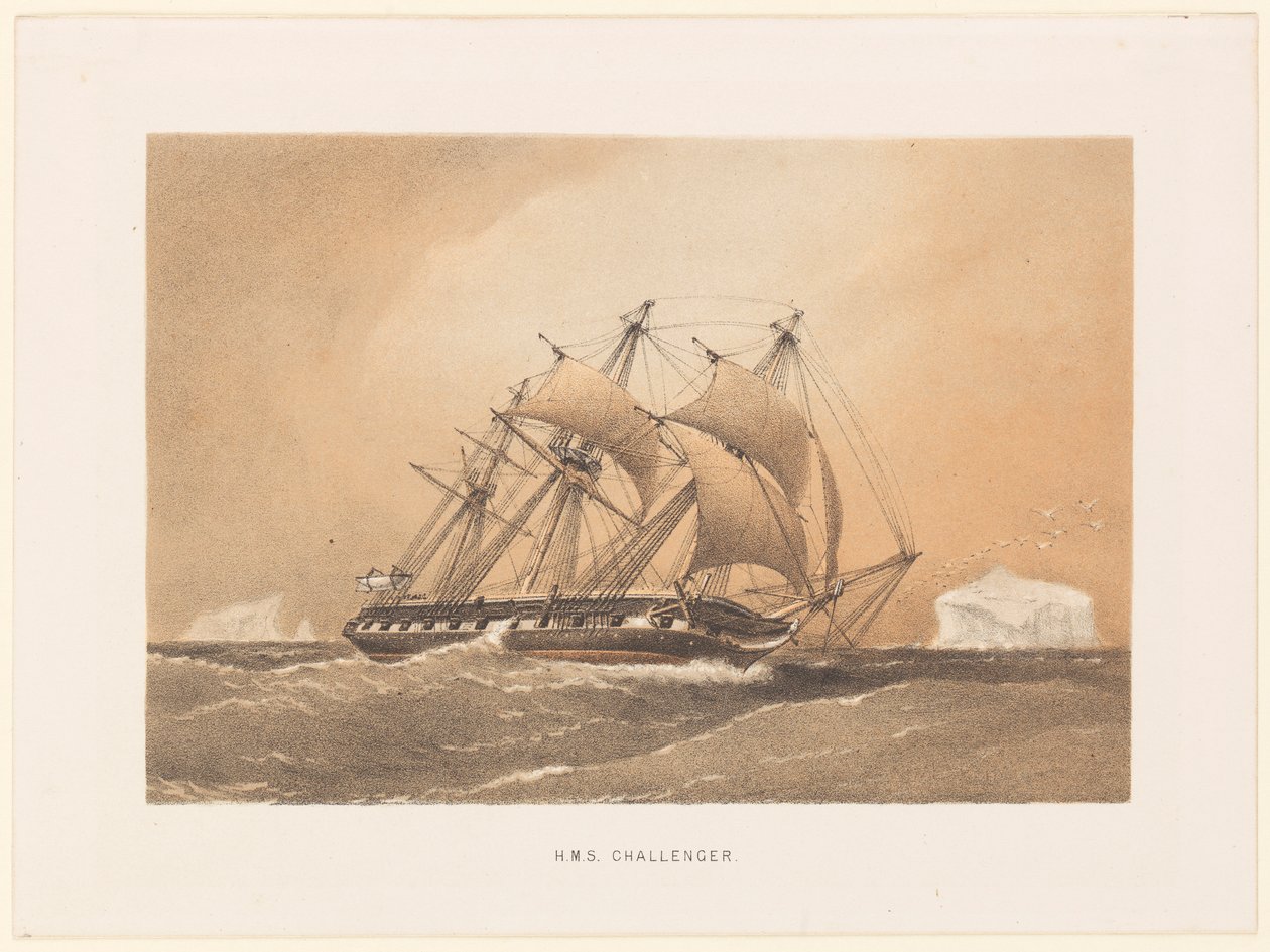  av William Frederick Mitchell