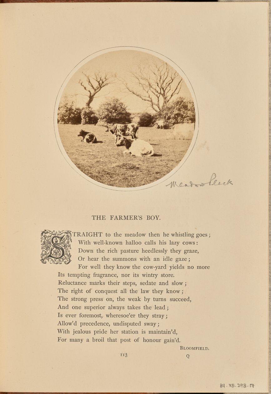  av William Grundy