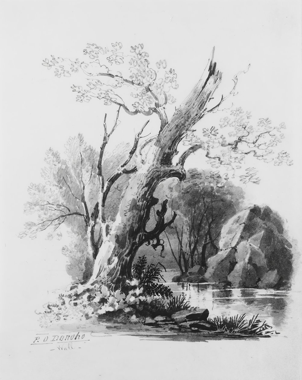 Forest Grove,. av William Guy Wall