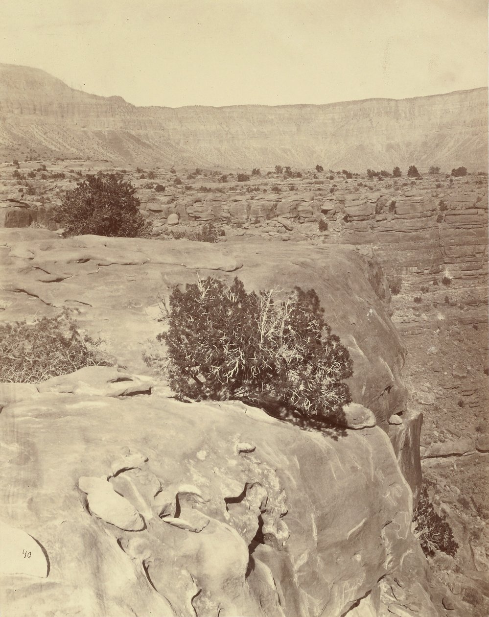  av William H. Bell