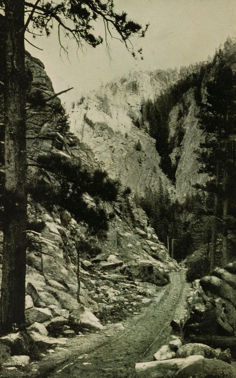  av William H. Jackson