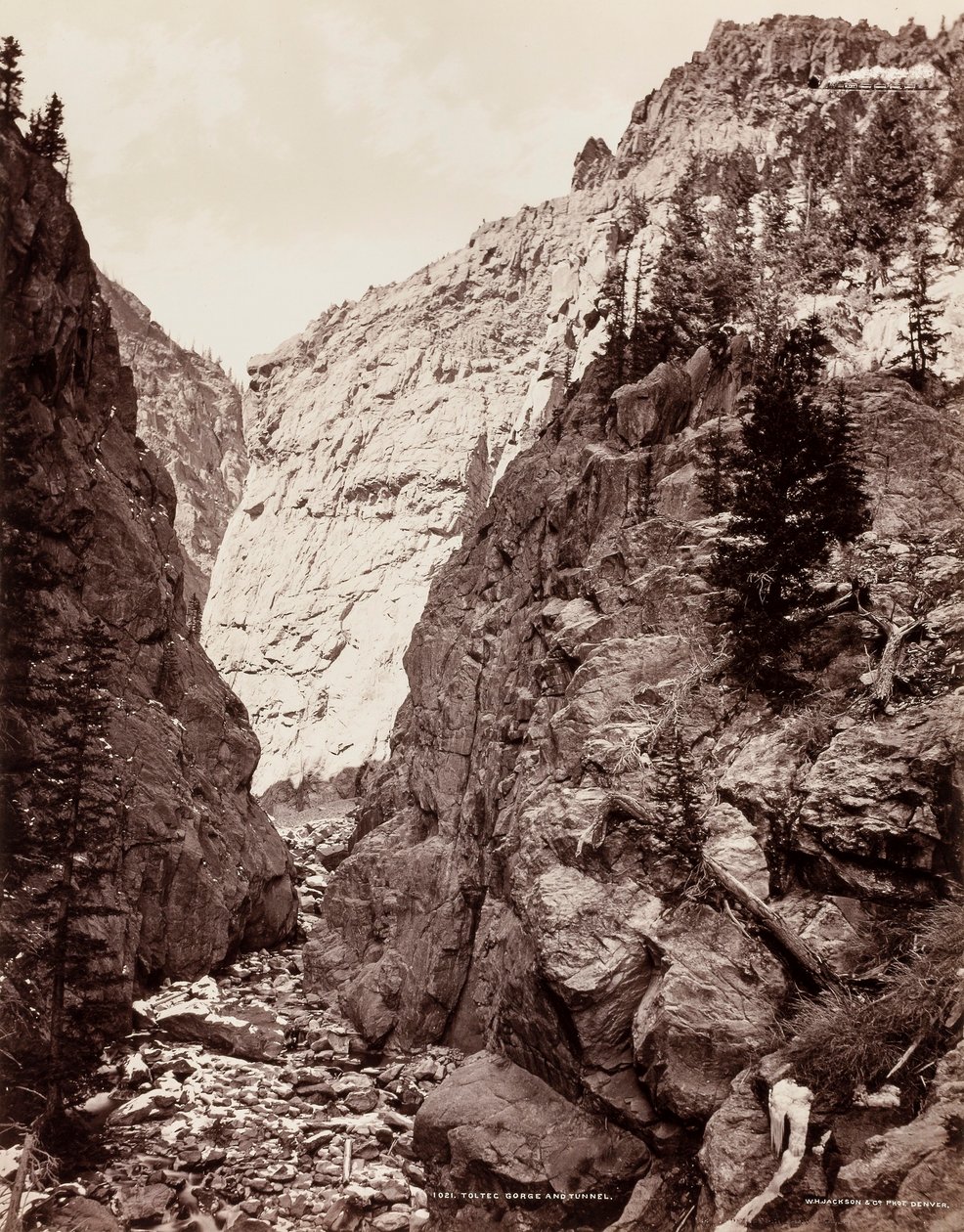  av William H. Jackson