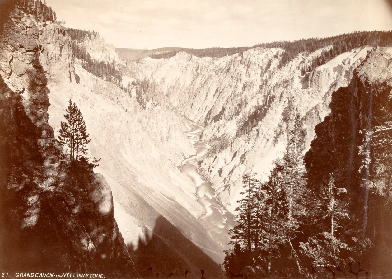  av William H. Jackson