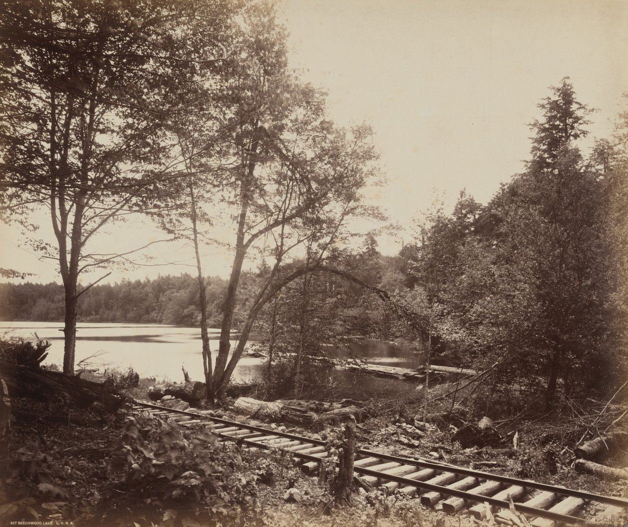 Beechwood Lake av William H. Rau