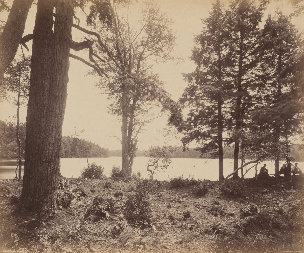Ganoga-sjøen av William H. Rau
