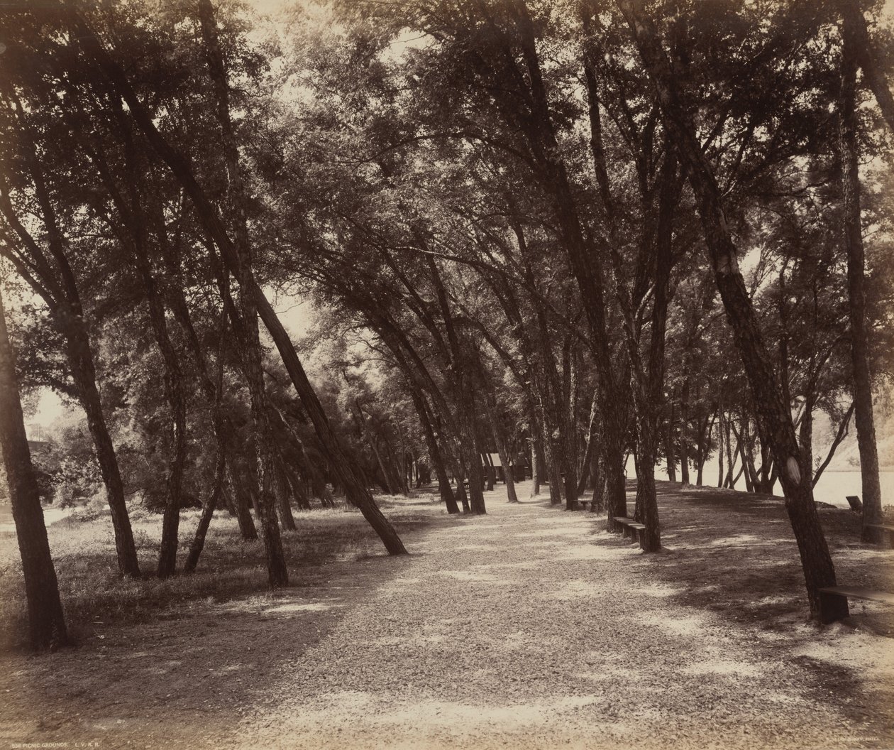 Piknikplass av William H. Rau