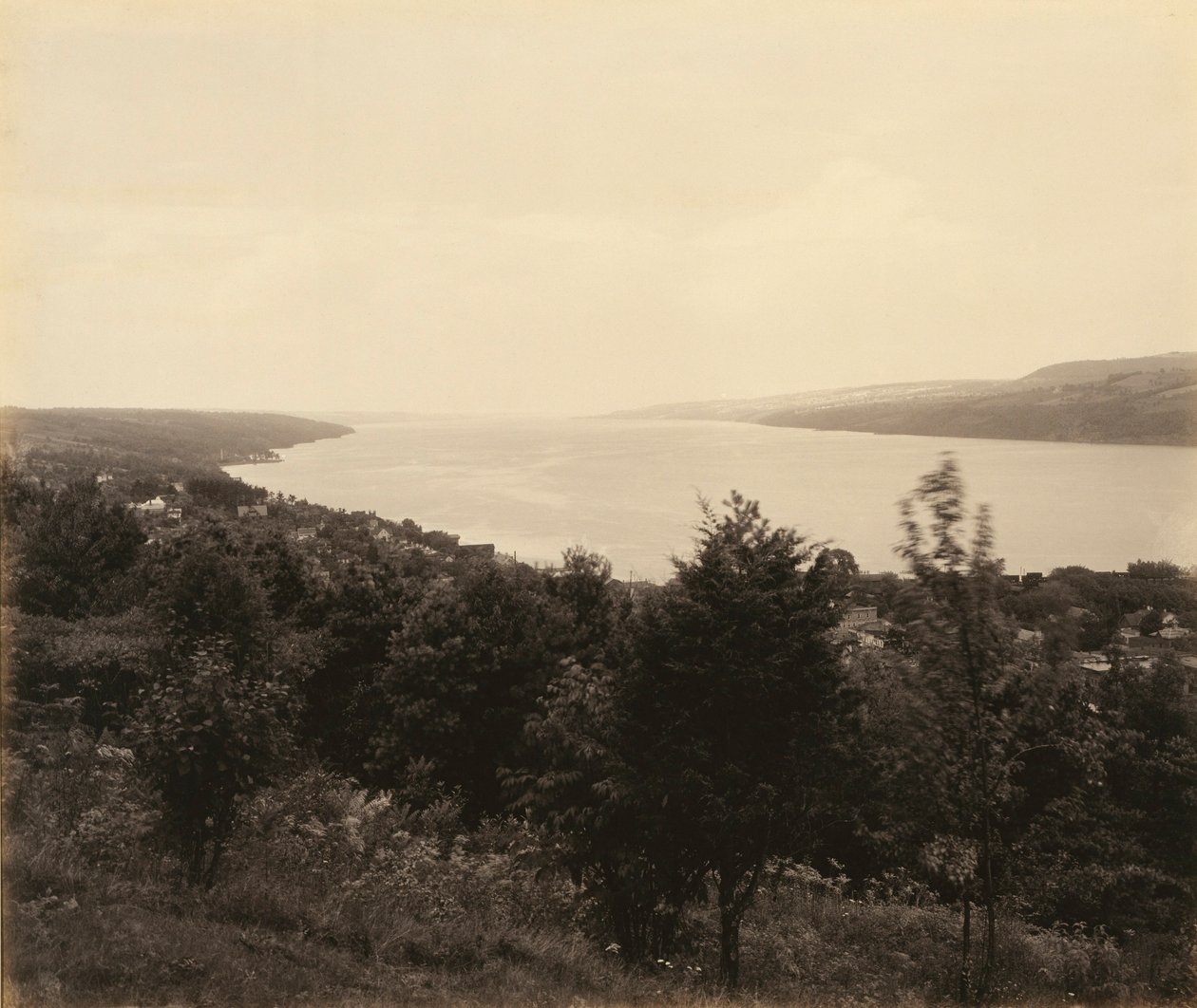  av William H. Rau