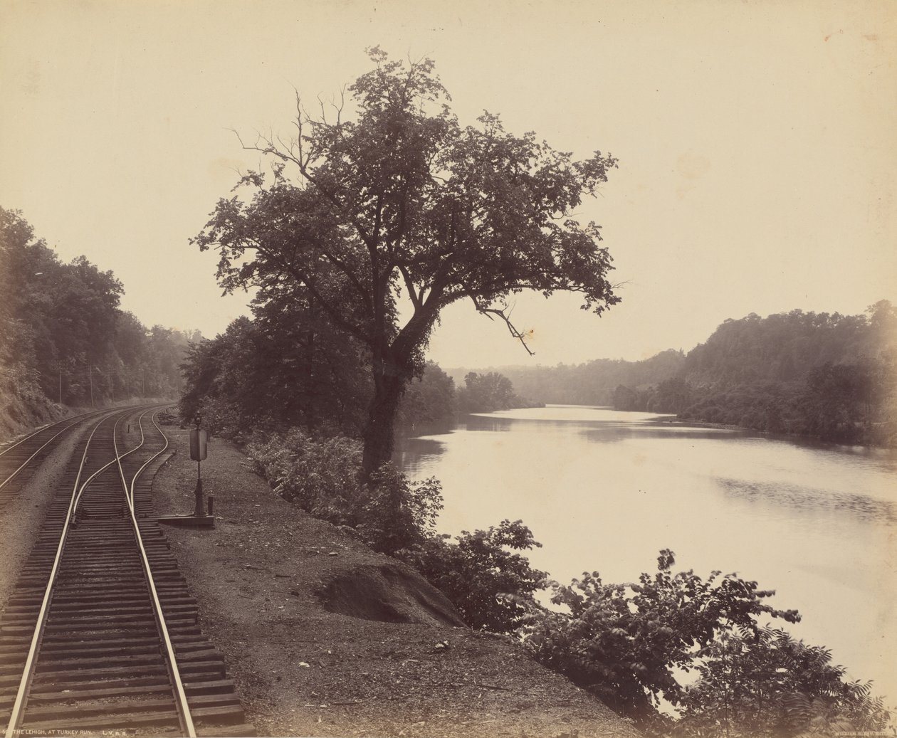 The Lehigh, At Turkey Run av William H. Rau