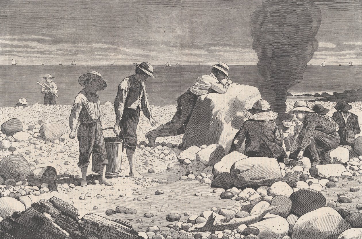 Sea-side Sketches - A Clam-Bake Harper's Weekly, Vol. XVII, 23. august 1873. av William H. Redding