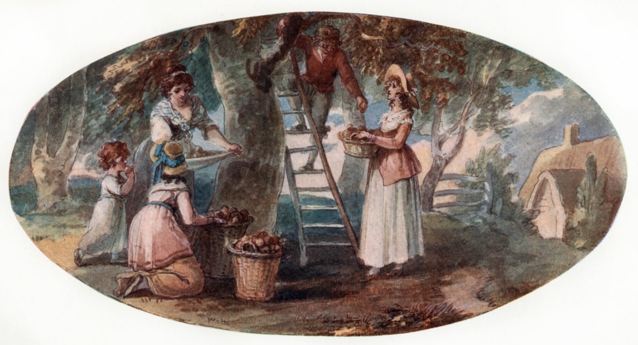 Samler frukt, slutten av 1700-tallet. av William Hamilton
