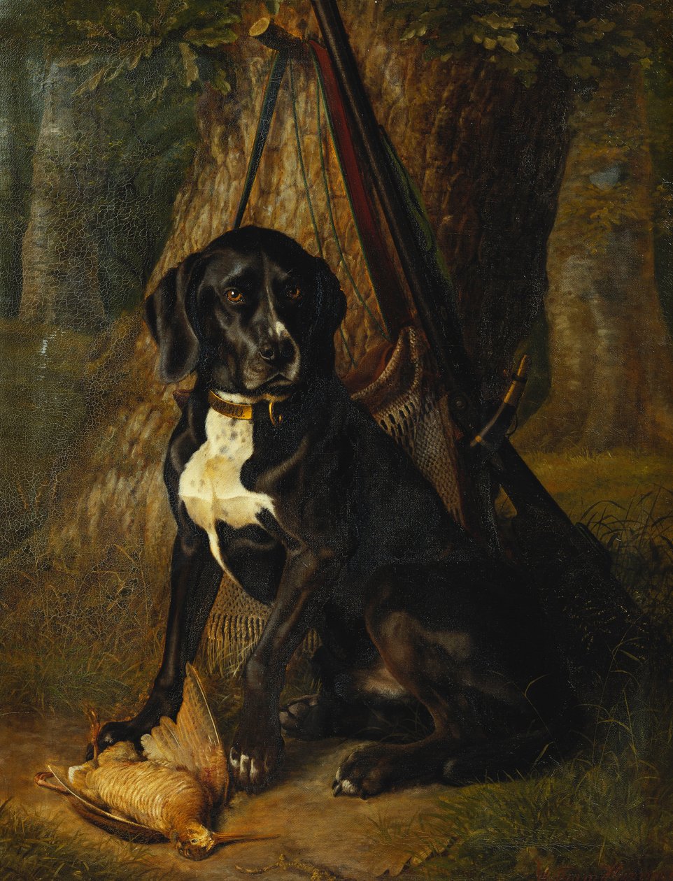 A Gun Dog with a Woodcock, 1842 av William Hammer
