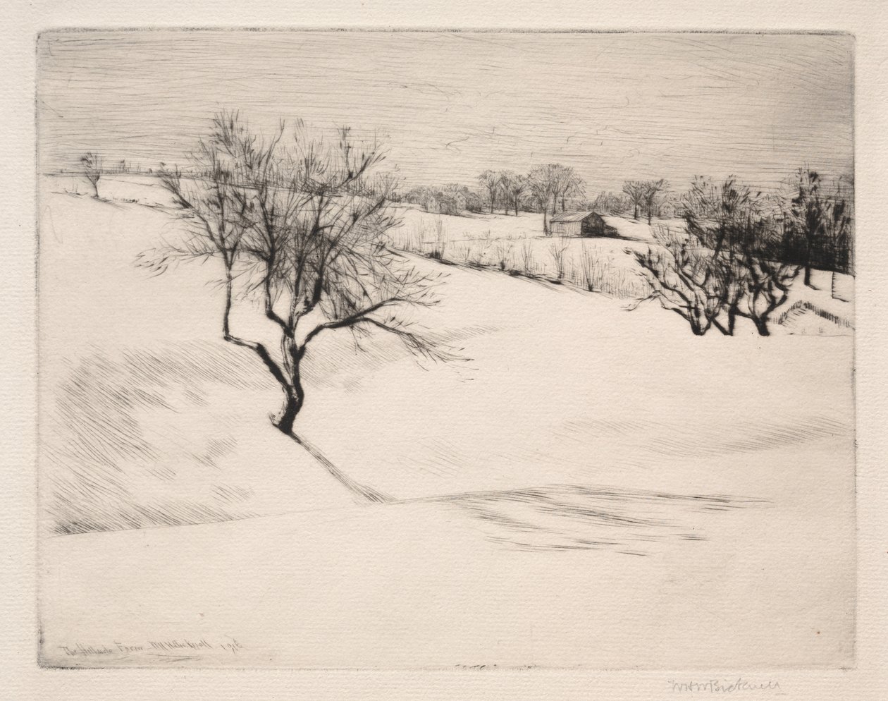 The Hillside Farm av William Harry Warren Bicknell