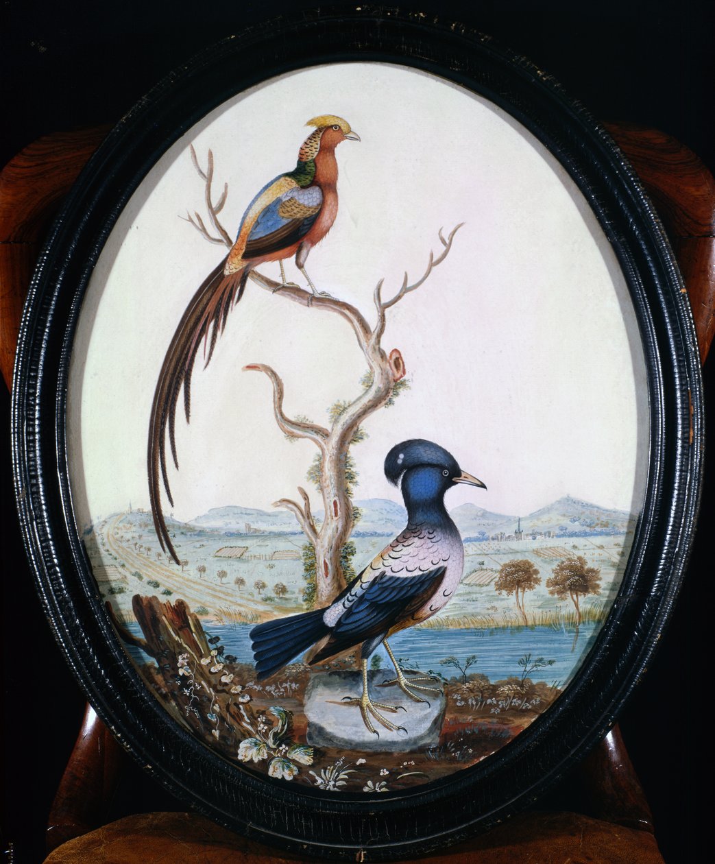 Gullfasan og Jay av William Hayes