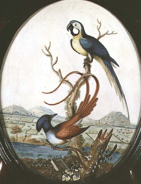 Lyrebird og Jay av William Hayes