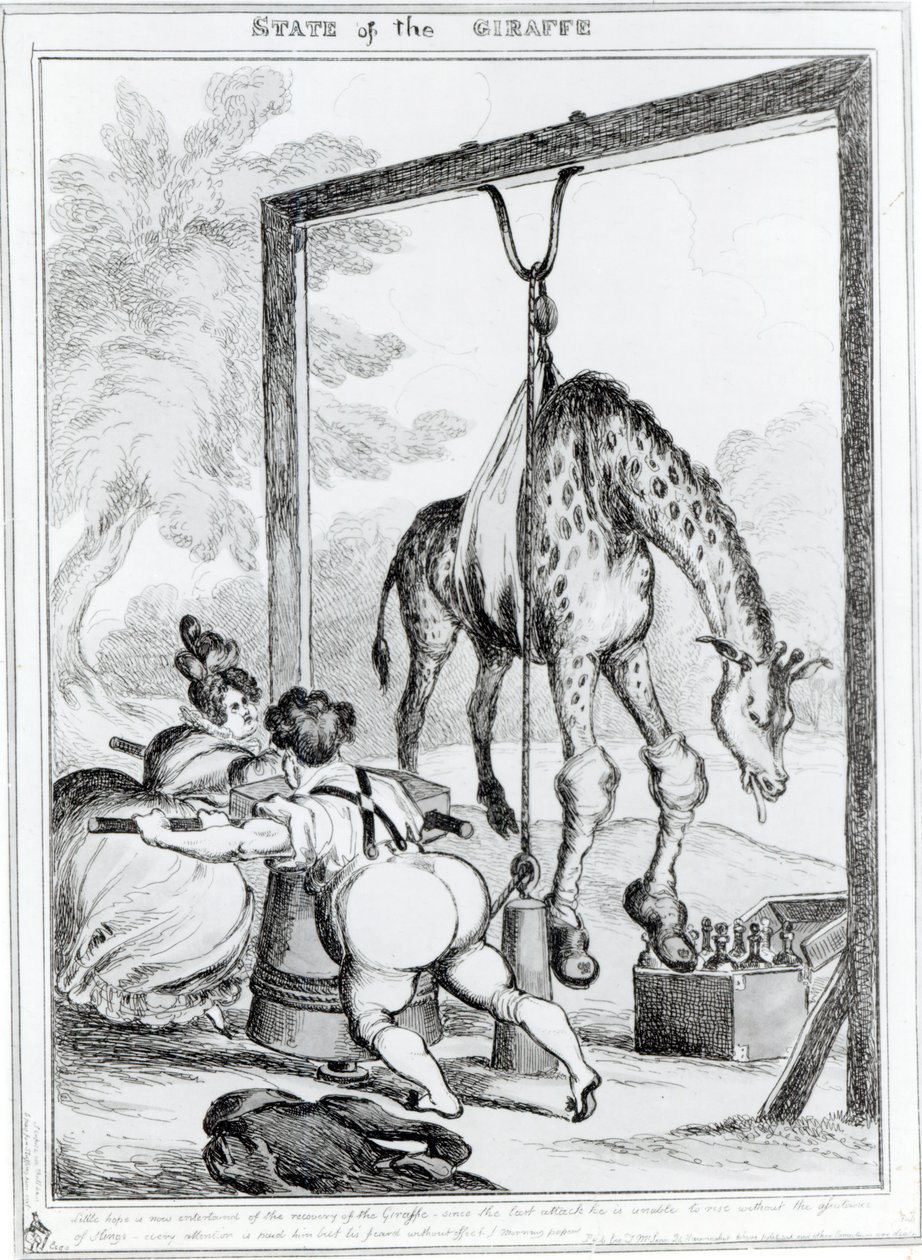 Giraffens tilstand, 1829 av William Heath