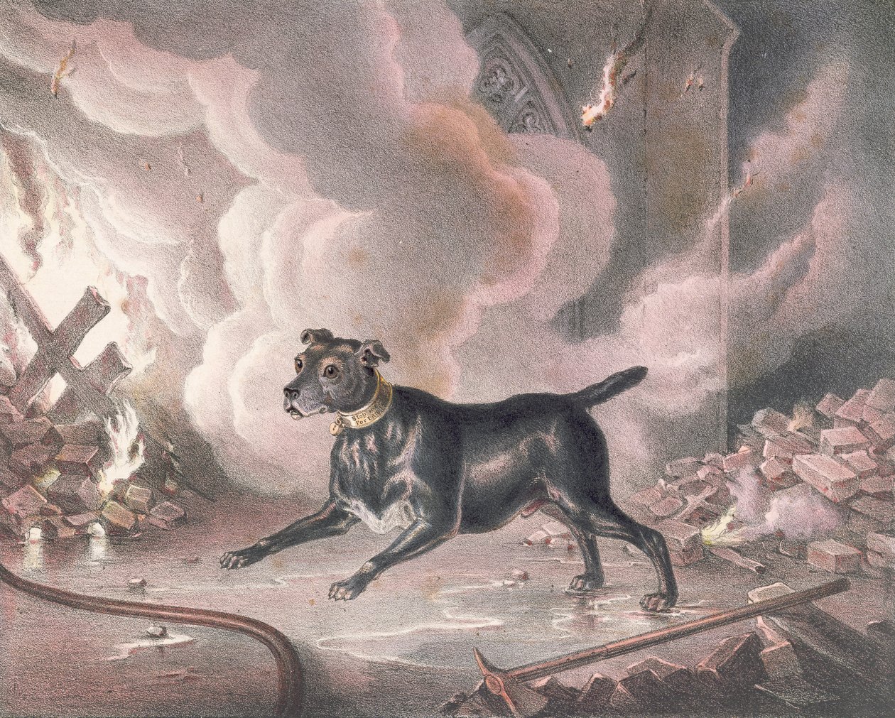 London brannmannens hund av William Heath
