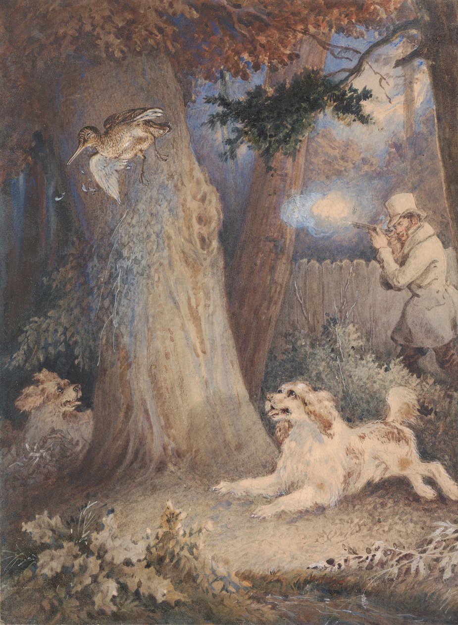 Rugdejakt av William Heath