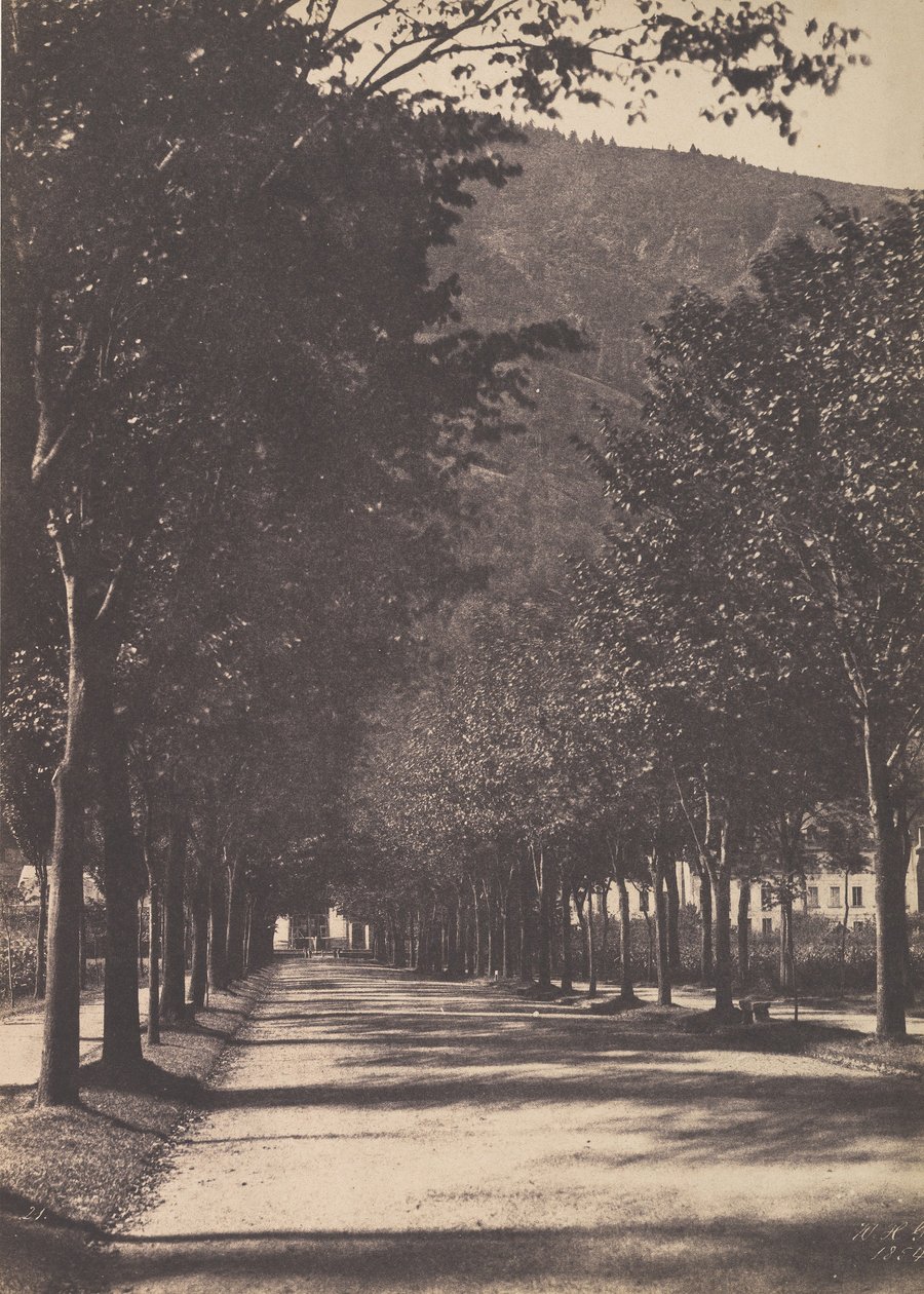 Alley of Trees, Pau, 1854. av William Henri Gebhard