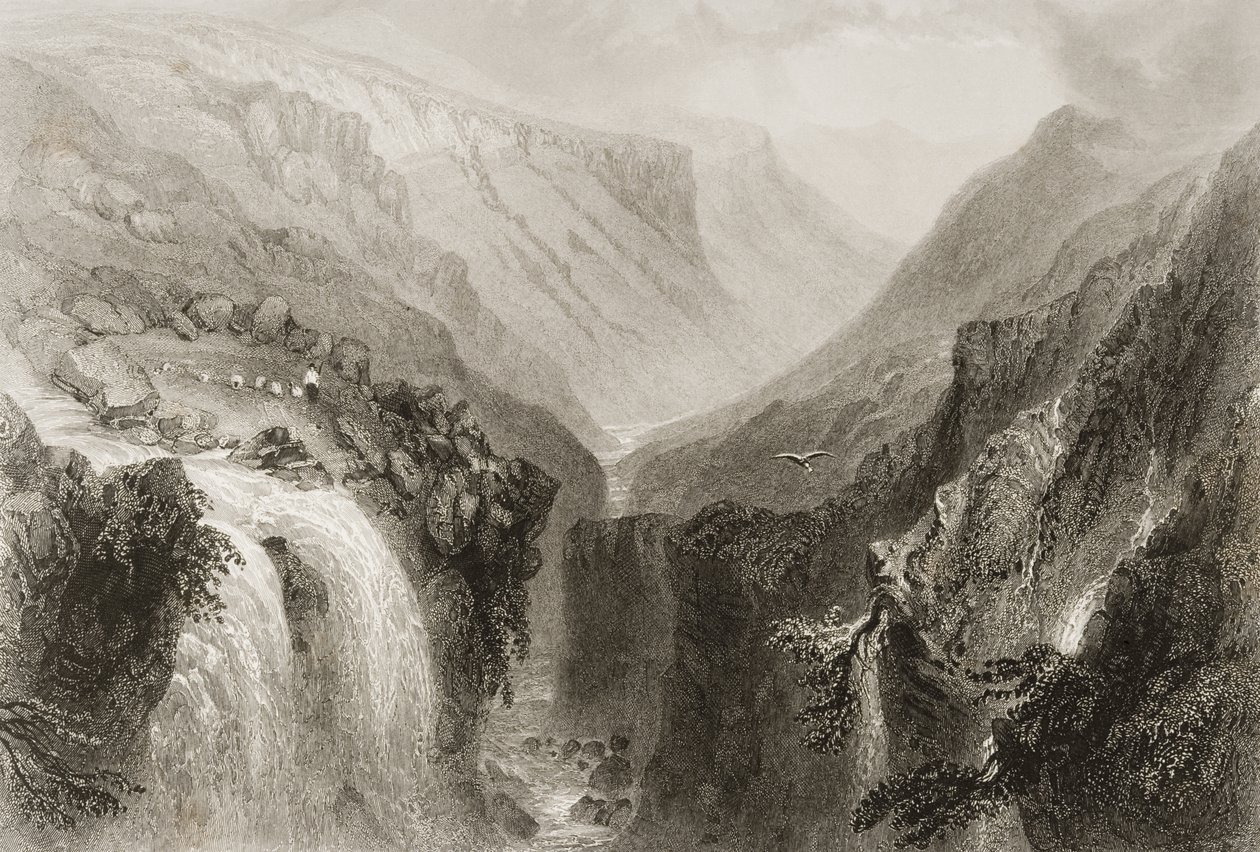 Leder for Glenmalure, County Wicklow, fra 