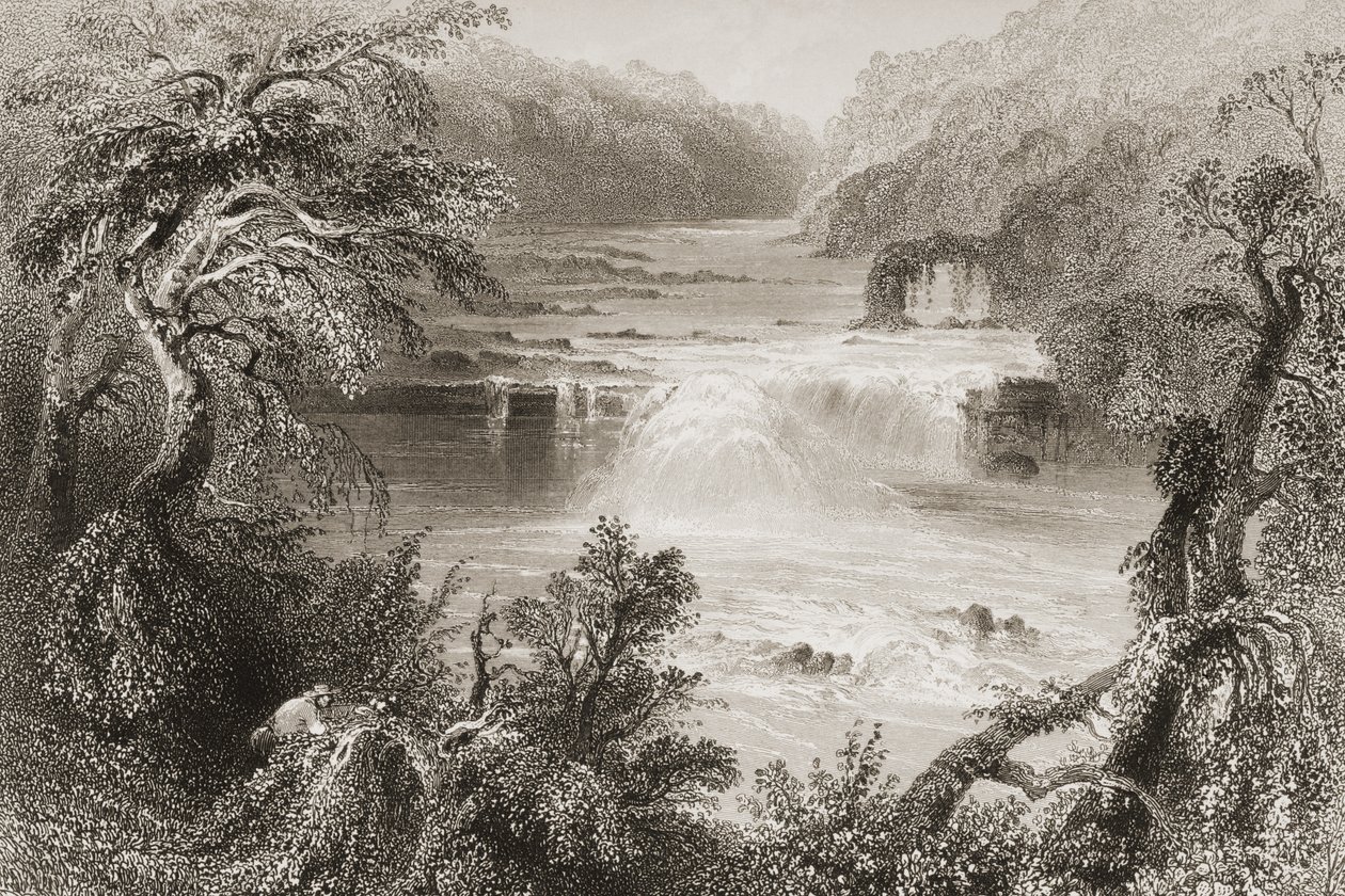 Salmon Leap at Leixlip, County Kildare, fra "Scenery and Antiquities of Ireland" av George Virtue, 1860-tallet av William Henry Bartlett