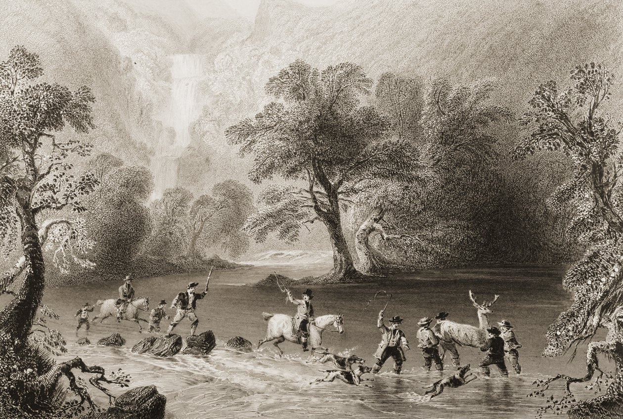 Å ta en hjort nær Derrycunnihy Cascade, County Kerry, Irland, fra 