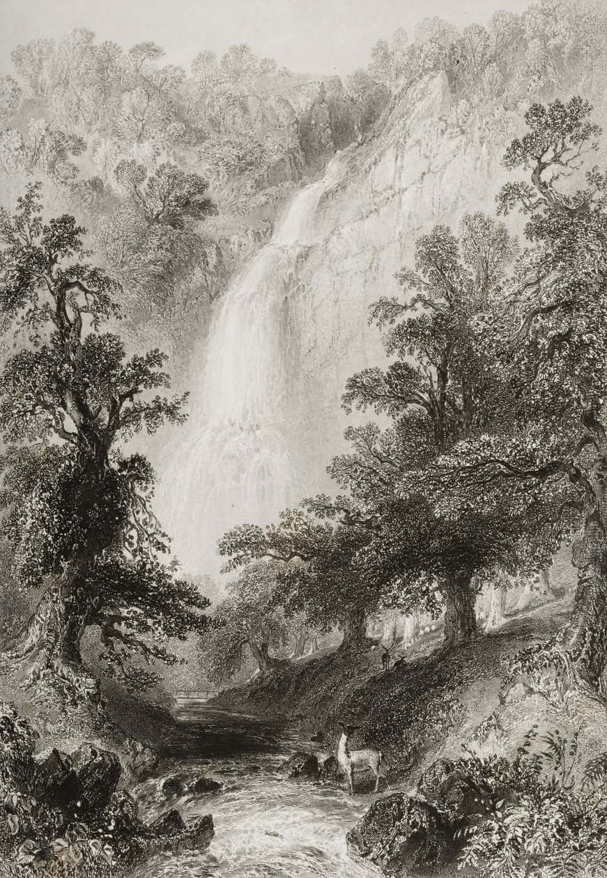 The Waterfall, Powerscourt, County Wicklow, Irland, fra 