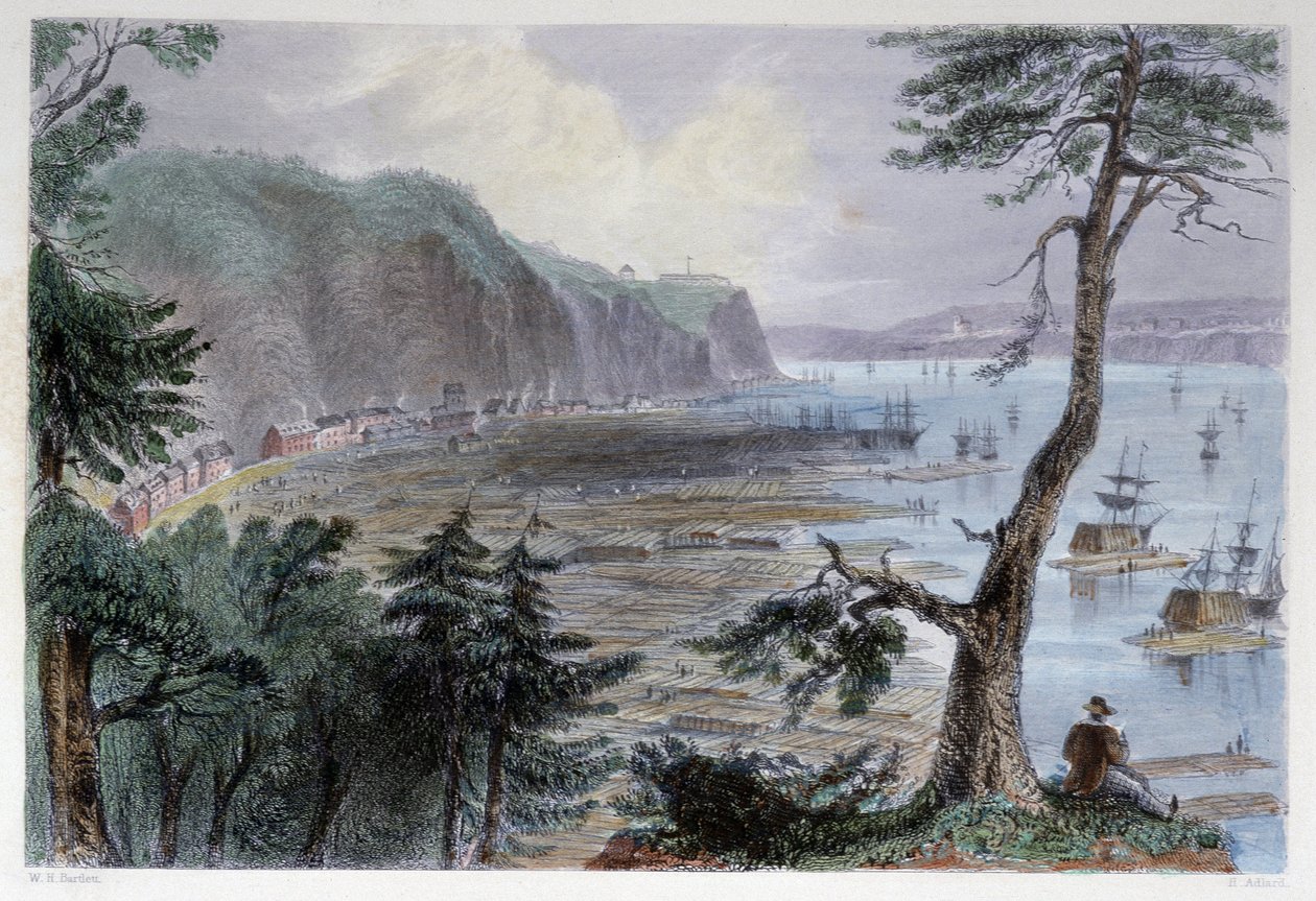 Tømmerdeponering nær Quebec - i "" kanadisk natur illustrert" av Bartlett W. H. av William Henry Bartlett