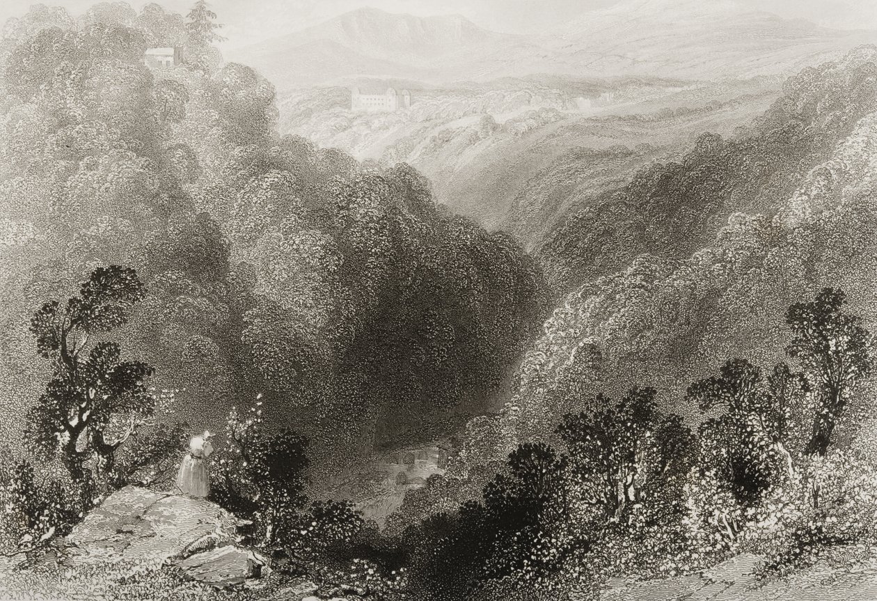 Utsikt over Powerscourt fra Dargle, County Wicklow, fra "Scenery and Antiquities of Ireland" av George Virtue, 1860-tallet av William Henry Bartlett
